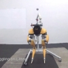 Ball Juggling with Cassie Cal - Hybrid Robotics Lab