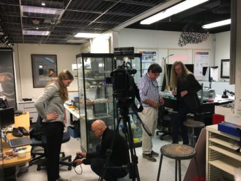 TUNE IN: ME Grad Students Give Whirlwind of TV & Radio Interviews After Their Shoelace Research Goes Viral