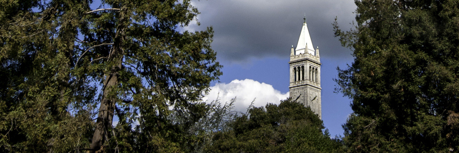 campanile banner image